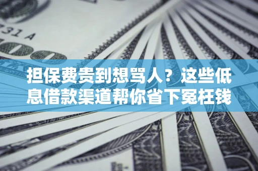 济南担保费贵到想骂人？这些低息借款渠道帮你省下冤枉钱