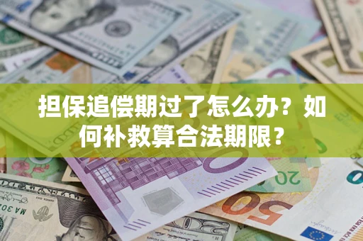 济南担保追偿期过了怎么办？如何补救算合法期限？