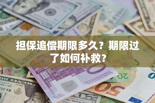 济南担保追偿期限多久？期限过了如何补救？